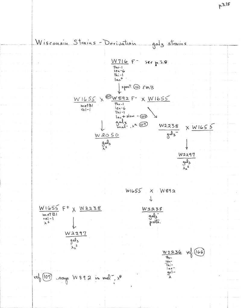 W21 Wisconsin gal3 strain lineage p3.15